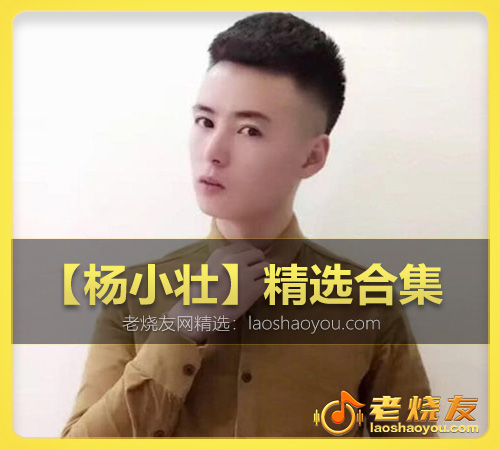 【杨小壮】精选合集 WAV