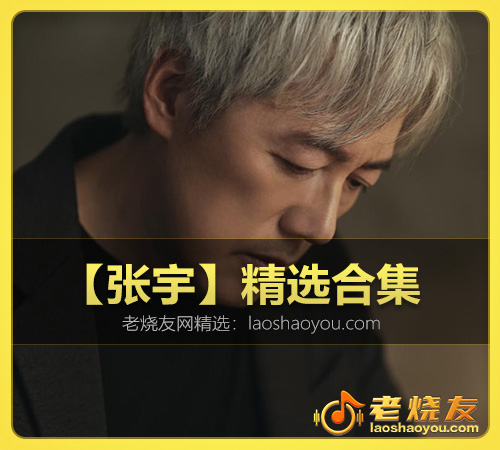 【张宇】精选合集 WAV