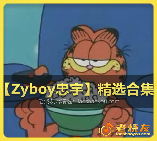【Zyboy忠宇】精选合集 WAV
