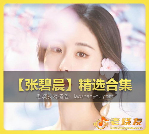 【张碧晨】精选合集 WAV