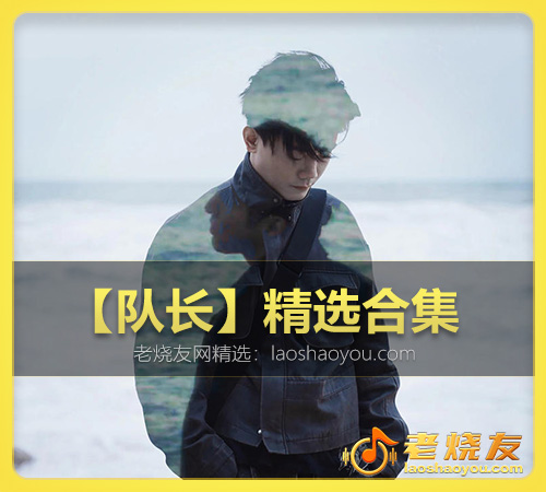 【队长】精选合集 WAV