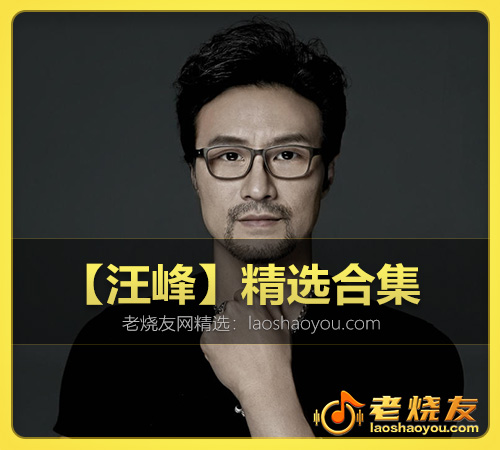 【汪峰】精选合集 WAV