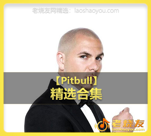 【Pitbull】wav版