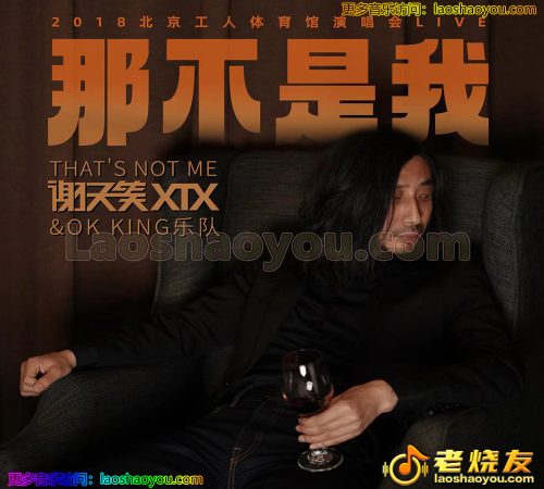 谢天笑《那不是我演唱会》2023 LIVE精选辑