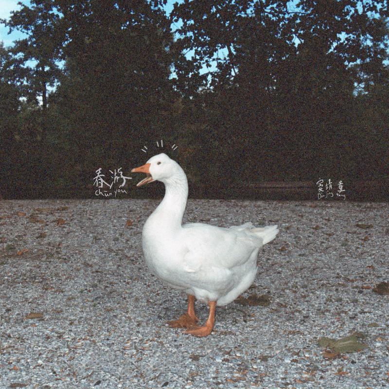 窦靖童《春游》头版限量编号 2023