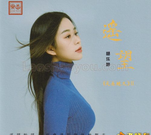 杨乐婷《遥望》2024头版限量编号24K黄金母盘