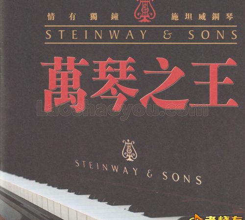 施坦威钢琴《万琴之王》BSCD