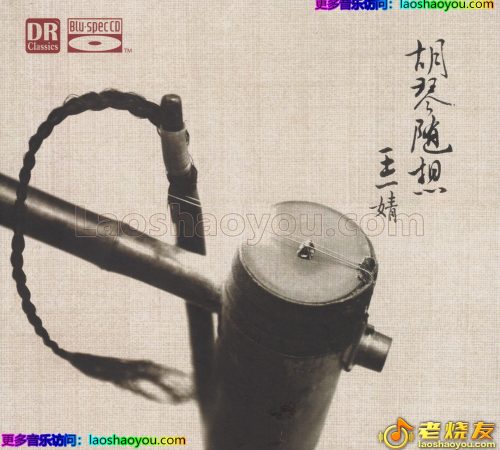 达人艺典·王一婧《胡琴随想》BSCD