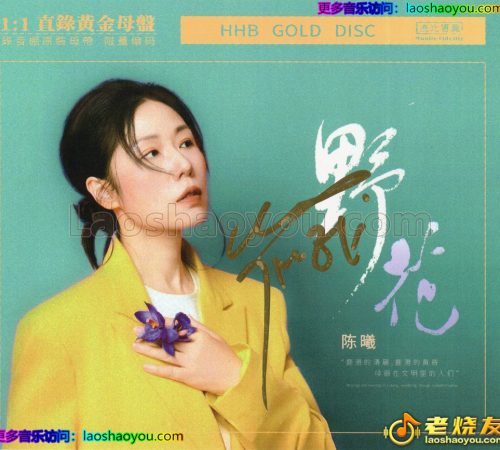陈曦 《野花》 24K黄金母盘 1：1直刻