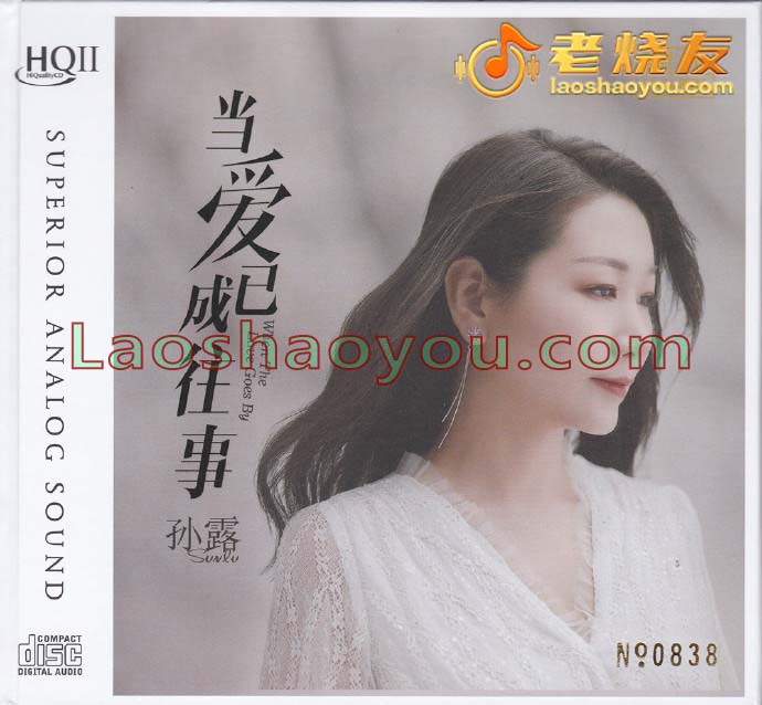 孙露《当爱已成往事》